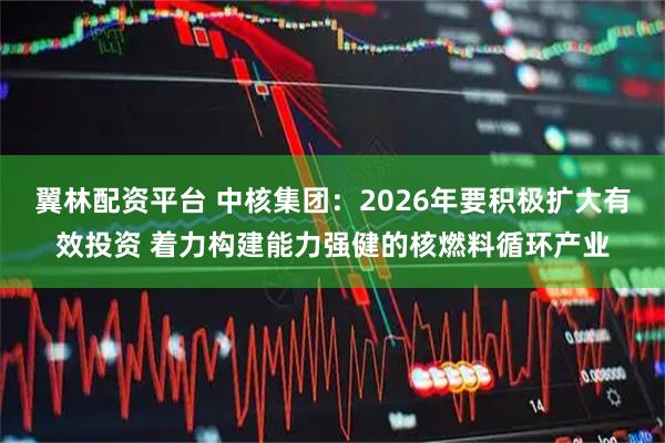 翼林配资平台 中核集团：2026年要积极扩大有效投资 着力构建能力强健的核燃料循环产业