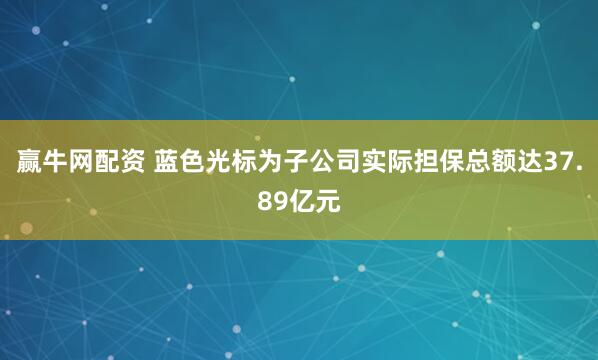 赢牛网配资 蓝色光标为子公司实际担保总额达37.89亿元